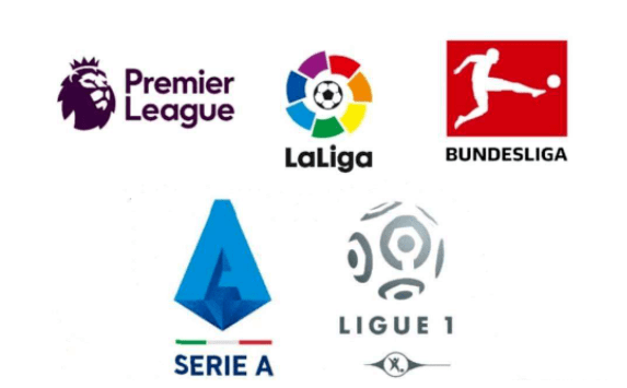 己的辉煌篇 己的辉煌篇